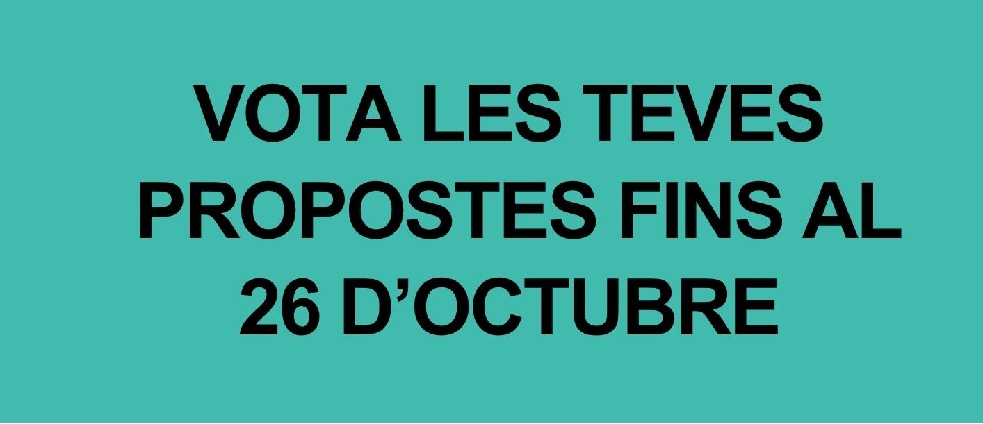 VOTA FINS EL 26