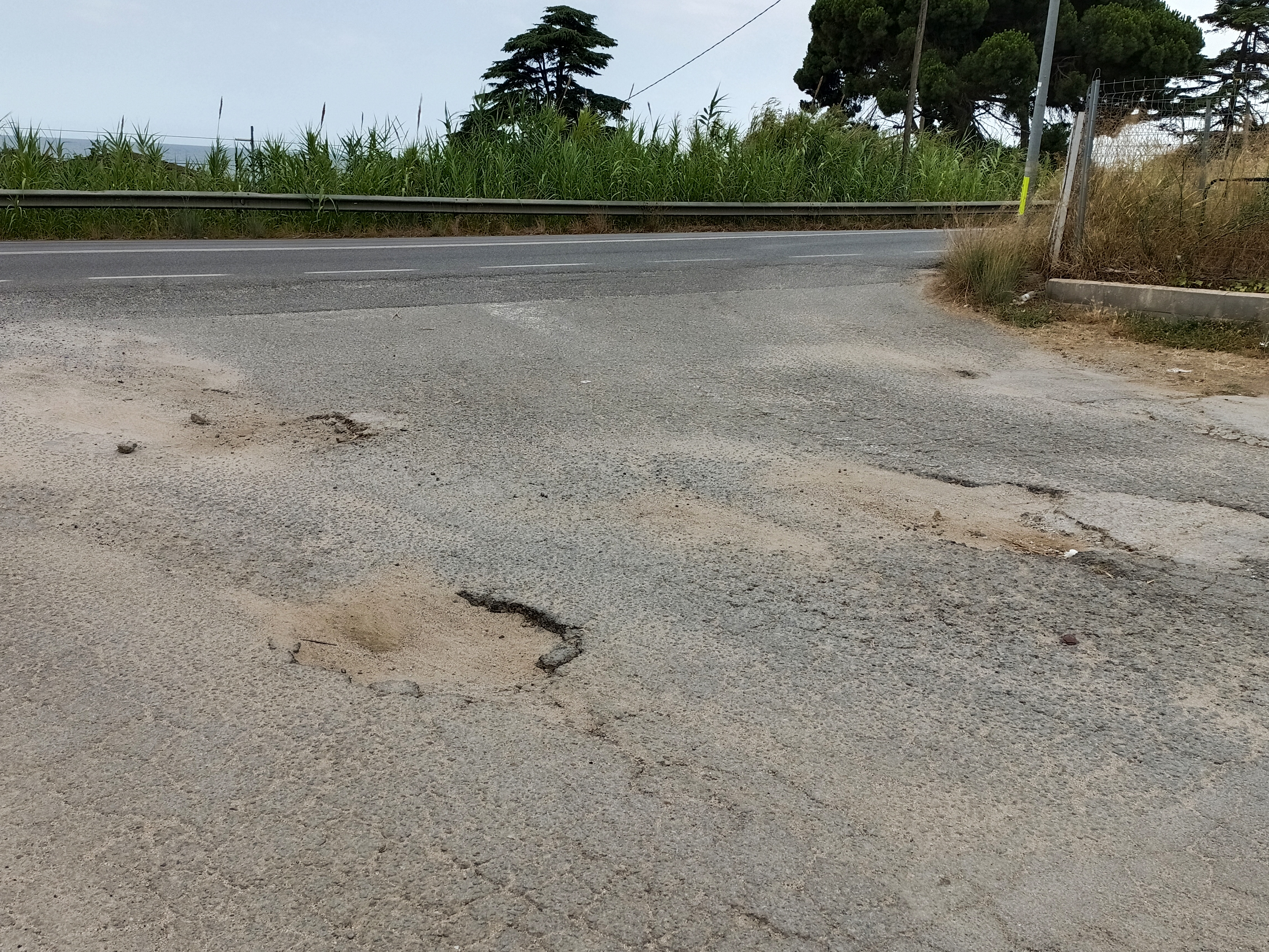 Imatge pels mitjans: Entrada &quot;Carolinas&quot;